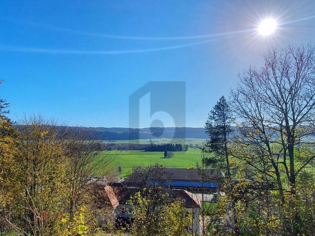 Apartment with 2.5 rooms on sale in Les Ponts de Martel 70 m² | dreamo. Ch