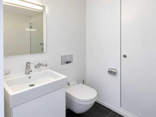 Apartment with 3 rooms for rent in Basel 95 m² | dreamo. Ch