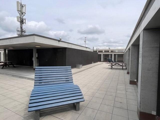 Apartment with 3 rooms for rent in Bern 59 m² | dreamo. Ch
