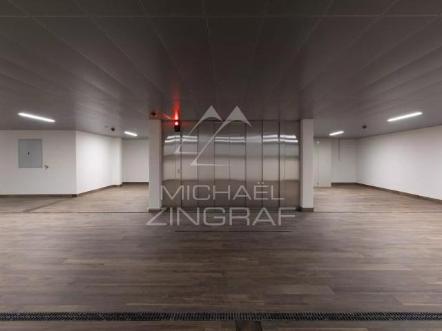 Apartment with 3 rooms for rent in Verwaltungskreis Obersimmental Saanen, G 177 m² | dreamo. Ch