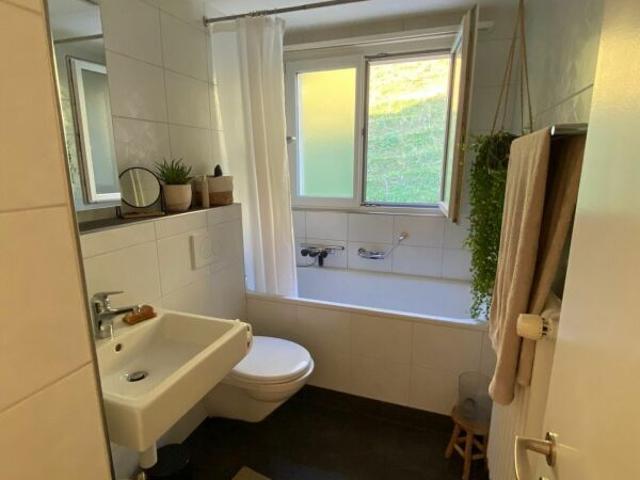 Apartment with 3 rooms for rent in Wald ZH | dreamo. Ch