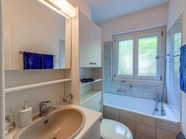 Apartment with 3 rooms for rent in Zuchwil 60 m² | dreamo. Ch