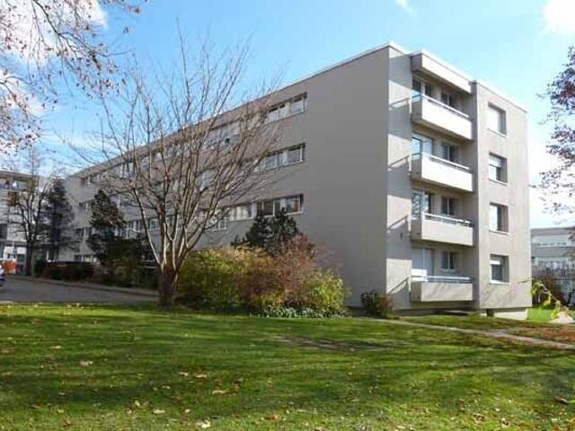 Apartment with 3 rooms for rent in Zürich 66 m² | dreamo. Ch