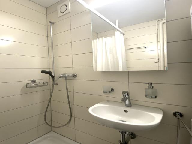 Apartment with 3.5 rooms for rent in Böttstein 61 m² | dreamo. Ch