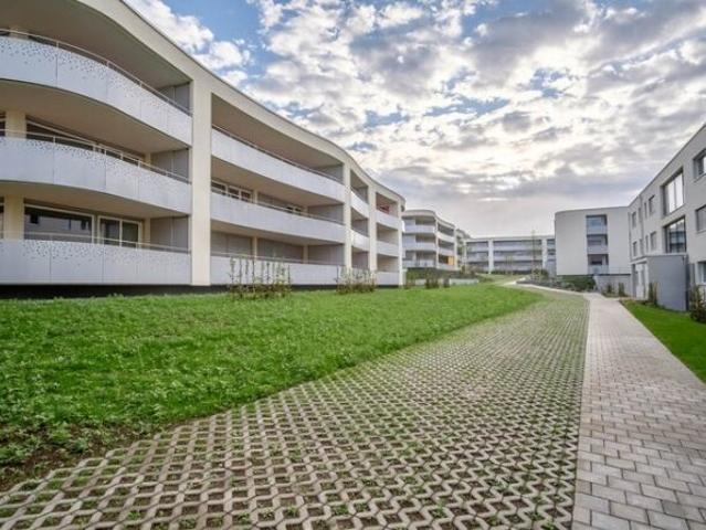 Apartment with 3.5 rooms for rent in Beringen 101 m² | dreamo. Ch