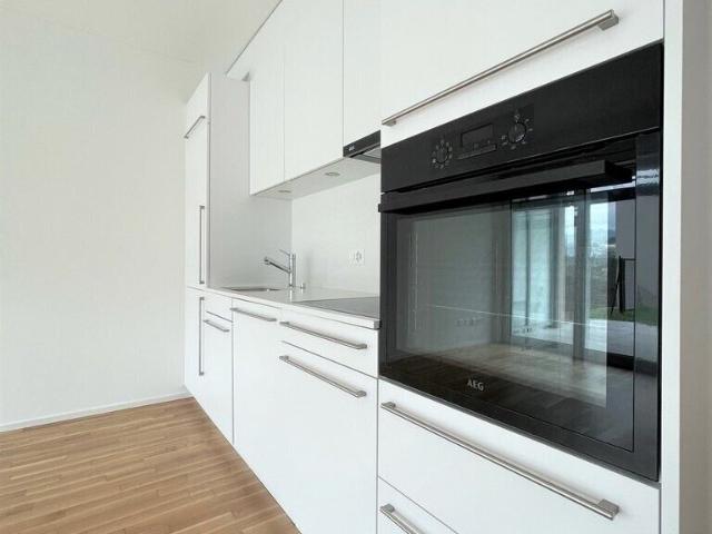 Apartment with 3.5 rooms for rent in Pazzallo 80 m² | dreamo. Ch