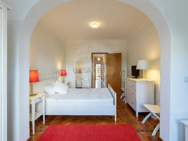 Apartment T1 in Tomar São João Baptista e Santa Maria dos Olivais, Tomar