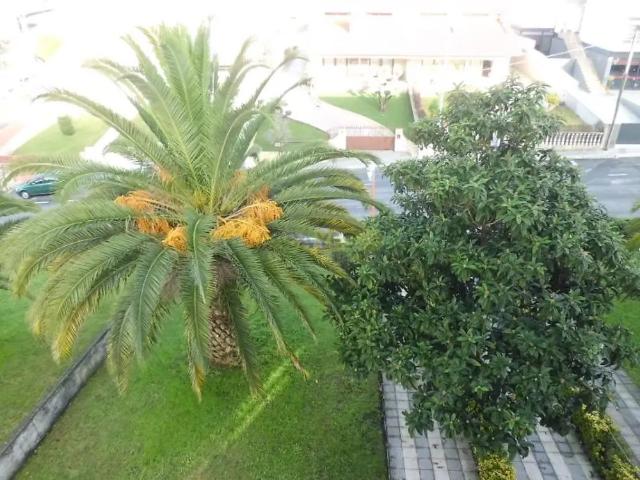 Apartment T2 in Nogueira e Silva Escura, Maia