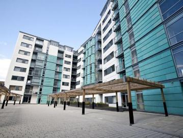 apartment to rent