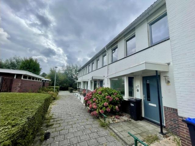 Apartment to rent in Wielerbaan 36 Den Haag