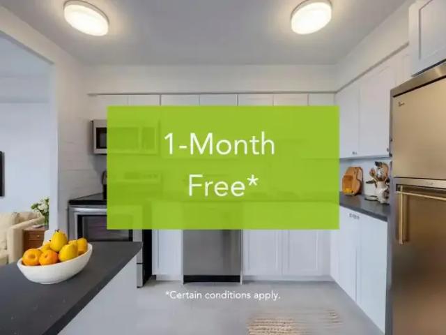Apartment Toronto ON 104597781