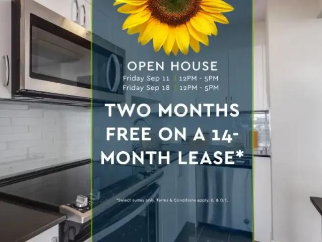 Apartment Toronto ON 105485657
