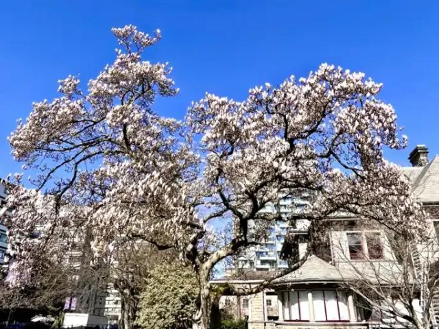 Apartment Vancouver BC 102018169