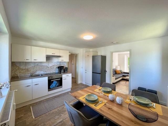 ApartmentLug40 – newly renovated, quiet location, excellent transport !, Dresden Amsterdam Apartments for Rent