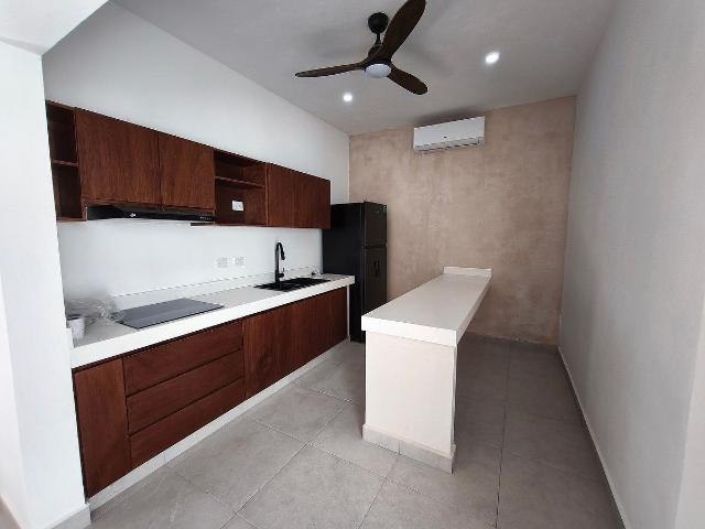 APARTMENTS WITH PRIVATE GARDEN AND POOL IN SANTIAGO, CENTRO MÉRIDA