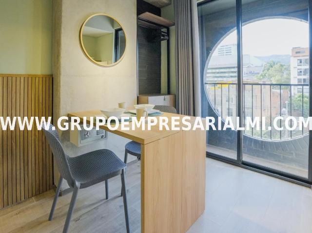 Apartaestudio Amoblado En Arriendo Sector Los Alpes Cod: 33217