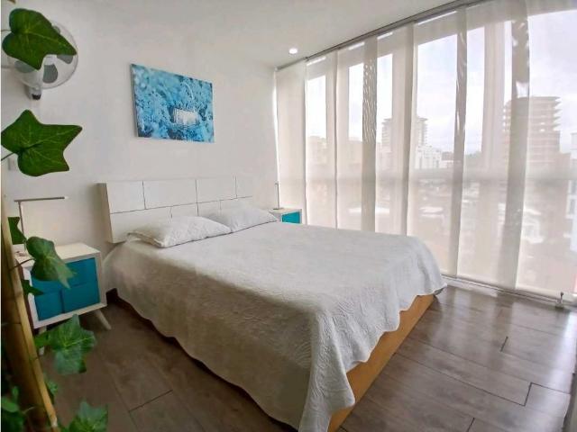 Apartaestudio en arriendo, Castellana