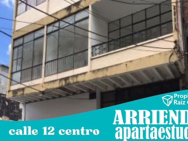 Apartaestudio en arriendo, Centro