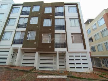 Apartaestudio en arriendo, Coeducadores
