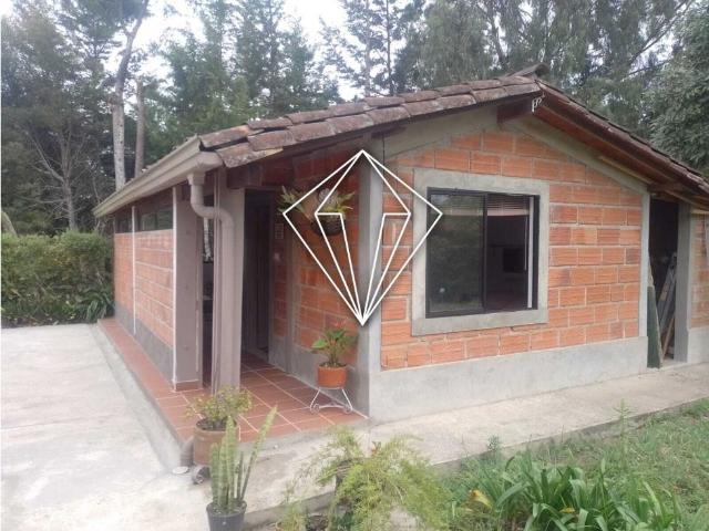 Apartaestudio en arriendo, El carmen de viboral