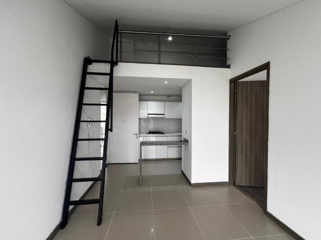 Apartaestudio En Arriendo En Armenia En Oro Negro A338649
