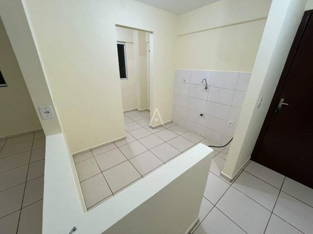 Apartamento 2 quartos para aluguel no Bairro CENTRO em TOLEDO por R$ 1.350,00