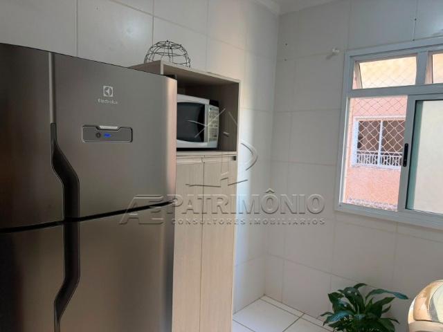 Apartamento 2 Quartos Vera Cruz 50m²