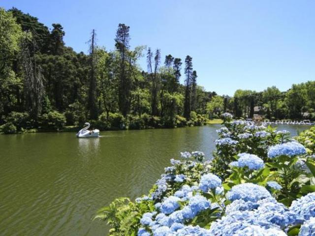 Apartamento 3 Dorm Bairro Lago Negro