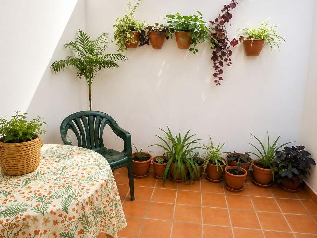 Apartamento 3 dormitorios 70 m2