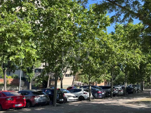 Apartamento 3 dormitorios 86 m2 97m² Madrid