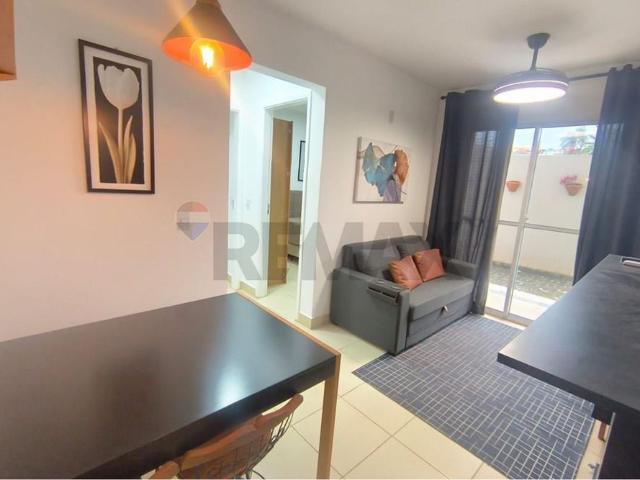 Apartamento 3 quartos