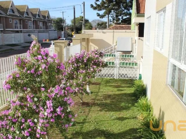 Apartamento 3 Quartos Capão Raso 68m²