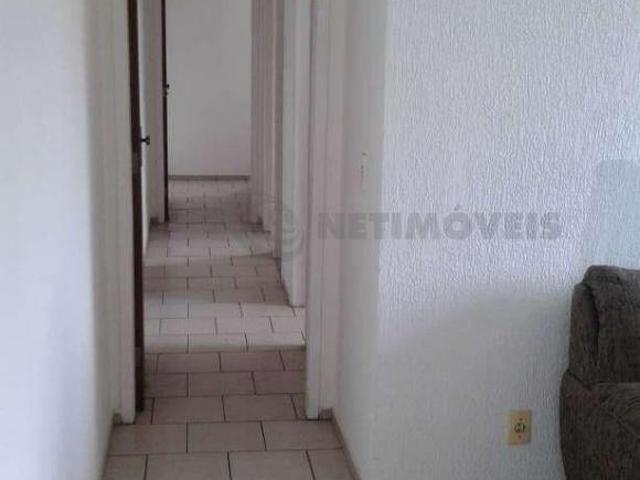 Apartamento 3 Quartos à Venda no Floresta – Ótima Localização e Custo Benefício