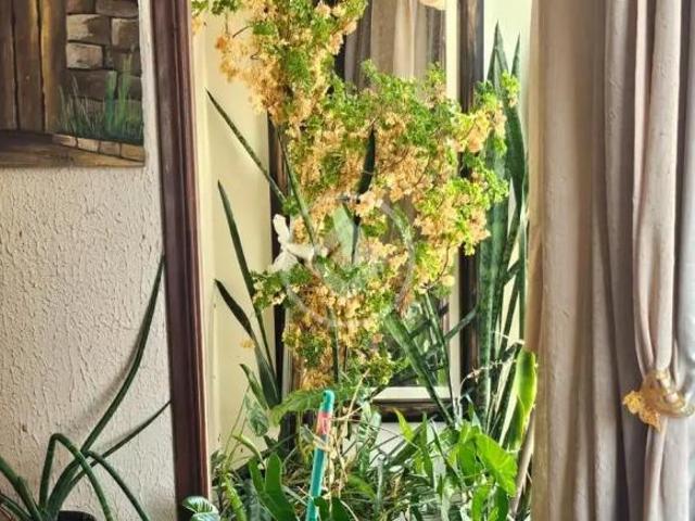 Apartamento 3 quartos Ponta da Praia Santos