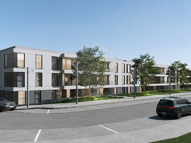 Apartamento T3 à venda em Poiares Santo André, Vila Nova de Poiares RE/MAX Portugal
