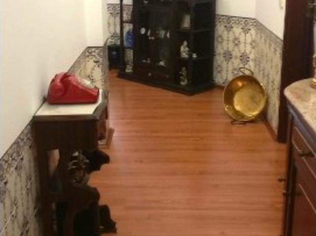 Apartamento T3 com Terraço e Elevador | Minde