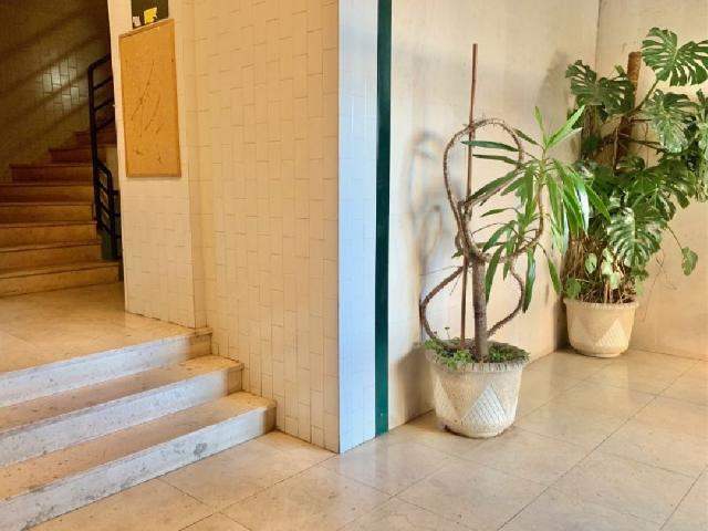 Apartamento, T3, Porto > Paranhos
