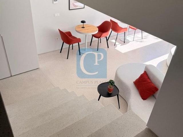 Apartamento T0 novo perto do Jardim de Arca d´Água, Porto