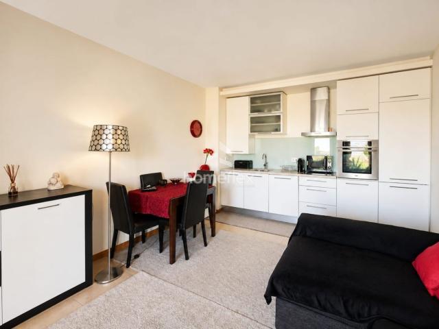 Apartamento T1 com garagem na Quinta da Borloteira!