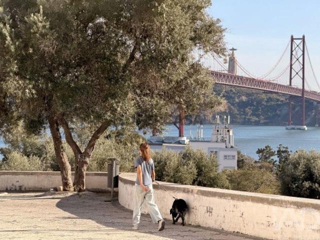 Apartamento T1 em Alcântara