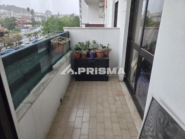 Apartamento T1 em Castelo Branco