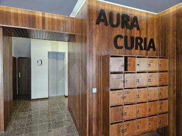 Apartamento T1 | Novo | Curia | Para arrendamento