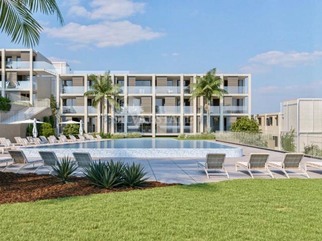 Apartamento T1 Piscina Funchal Madeira 66m² São Martinho