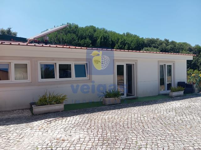 Apartamento T1 São Gregório, Caldas da Rainha, arrendamento CAL 217162