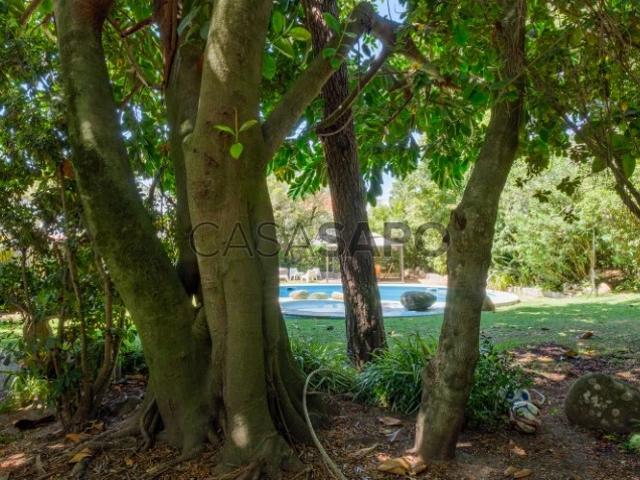 Apartamento T2+1 para alugar em Cascais