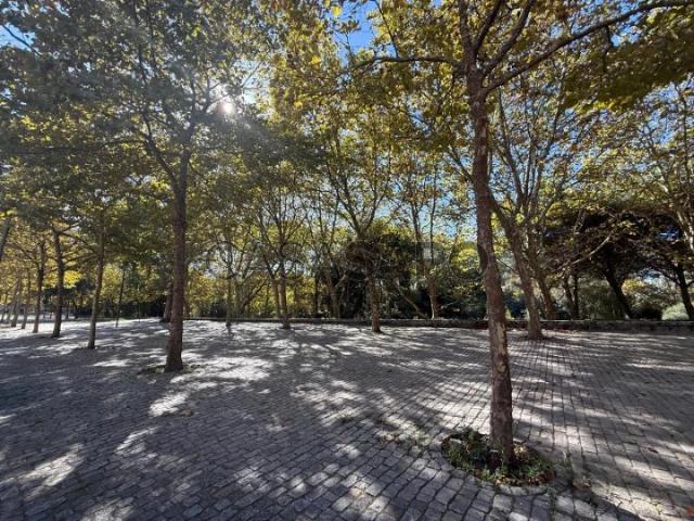 Apartamento T2 para alugar no Porto