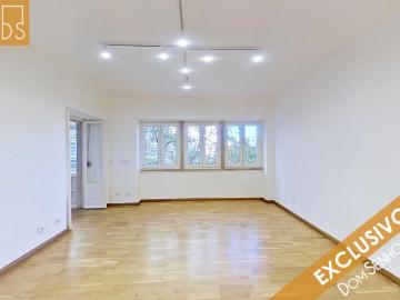 Apartamento para alugar em Campo Grande, Alvalade - Cozinha equipada