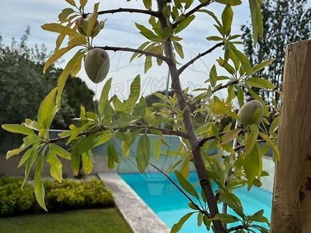 Apartamento T4 de luxo para arrendar em Parque das Nações, Lisboa RE/MAX Portugal