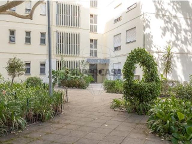 Apartamento T4 em Santo António dos Olivais