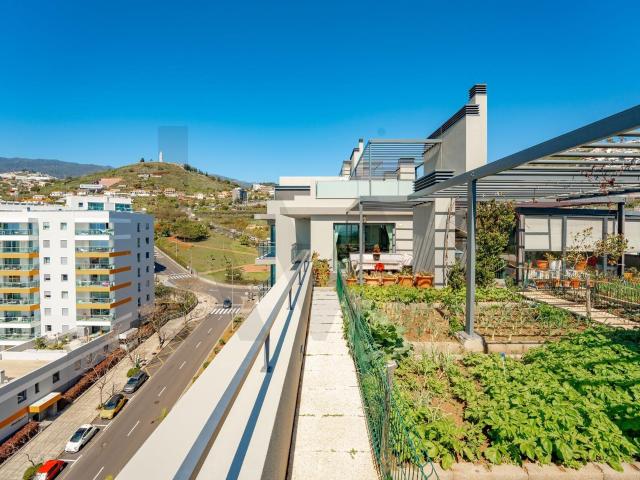 Apartamento T4 no Amparo com um Quintal nas Alturas 182m² São Martinho